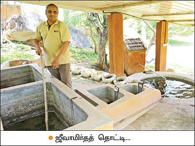 இயற்கை விவசாயத்தில் இனிக்கும் மா!