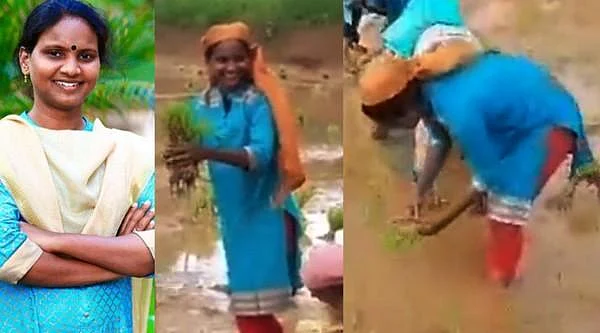 `நானும் ஒரு விவசாயி!'- நடவுப் பணியைத் தொடங்கினார் உங்கள் எம்.பி