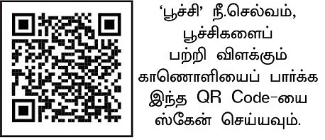 பூச்சிகளும் நம் நண்பர்களே..! - 2.0 - அமெரிக்கன் படைப்புழுக்கள்… அழிக்கும் இயற்கை நுட்பங்கள்!