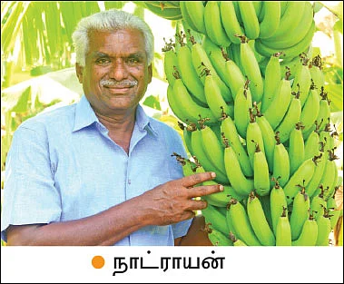 பயணம் கற்றுக்கொடுத்த பாடம்… உவர் மண்ணை மாற்றிய ஜீவாமிர்தம்!