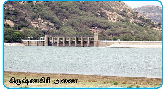 தமிழகத்தின் ஈரம்: திண்டுக்கல், தர்மபுரி, கிருஷ்ணகிரி