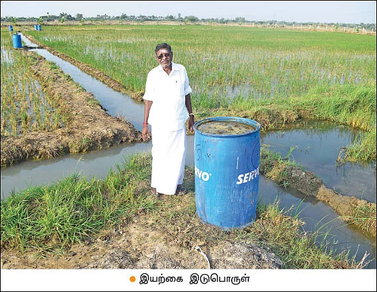 நல்ல வருமானம் கொடுக்கும் பாரம்பர்ய நெல்!