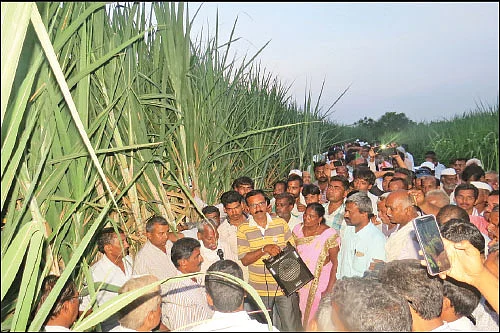 பயணம் கற்றுக்கொடுத்த பாடம்… உவர் மண்ணை மாற்றிய ஜீவாமிர்தம்!