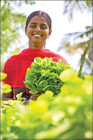 30 சென்ட்… மாதம் ரூ. 35,000 லாபம்!
