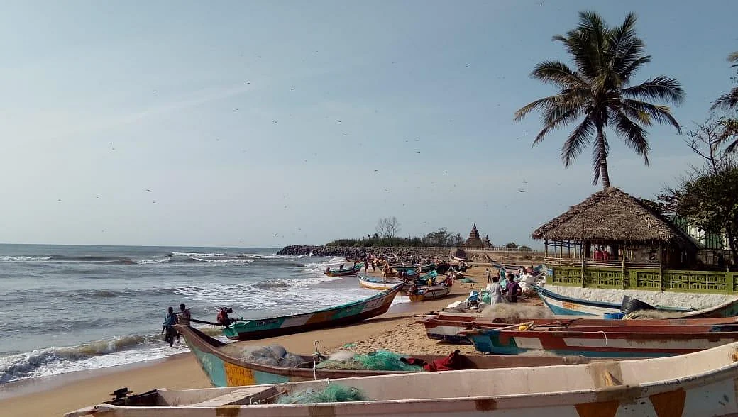 மீன் கடை சுகந்தியின் `ஸ்கேட்டிங் போர்டு' கமலி! - ஆஸ்கருக்காகக் காத்திருக்கும் மீனவக் குடும்பம்