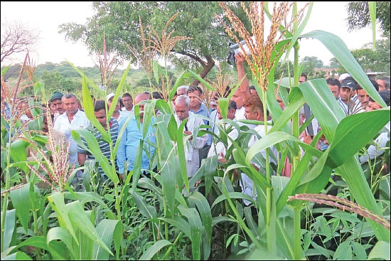 பயணம் கற்றுக்கொடுத்த பாடம்… உவர் மண்ணை மாற்றிய ஜீவாமிர்தம்!