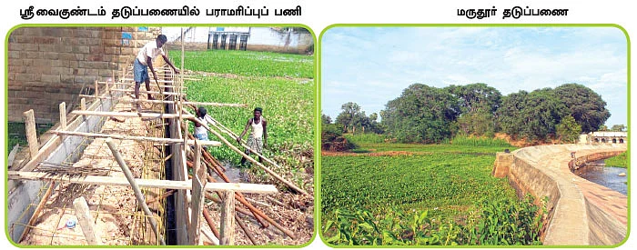 தமிழகத்தின் ஈரம்: தூத்துக்குடி, திருச்சி