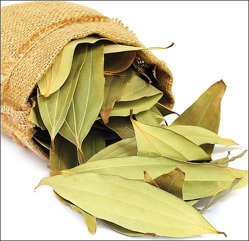 அஞ்சறைப் பெட்டி: பிரிஞ்சி இலை - அஞ்சறைப் பெட்டியின் உள்ளம்கவர் கள்வன்!