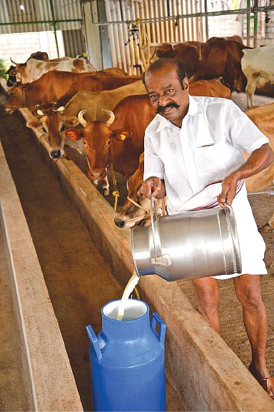 20 மாடுகள்... தினமும் ரூ.3,100 வருமானம் - முன்னாள் எம்.எல்.ஏ-வின் வெற்றி அனுபவம்!