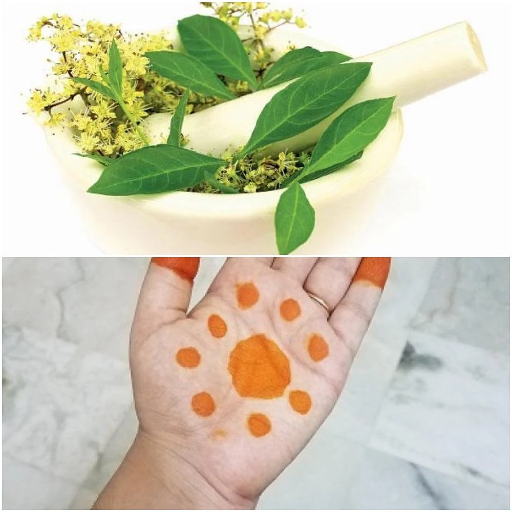 கை,கால்களில் ஏன் மருதாணி வைக்கிறோம் தெரியுமா? - நிபுணர் விளக்கம்!