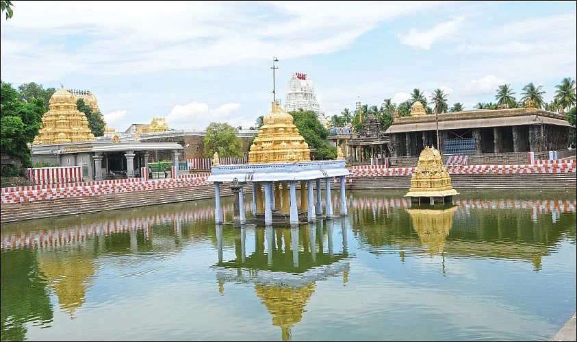 ஹஸ்தி சைலம்