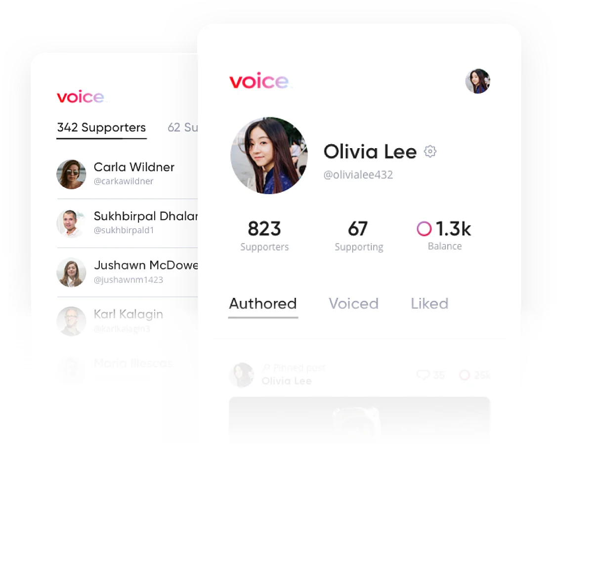 voice.com