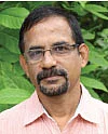 தங்கம் விலை... இன்னும் உயருமா? - சந்தை நிலவரமும், கணிப்பும்