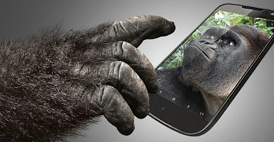 Gorilla Glass