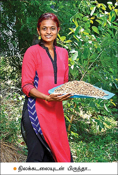 வீடு பெங்களூருவில் தோட்டம் சாத்தூரில்!