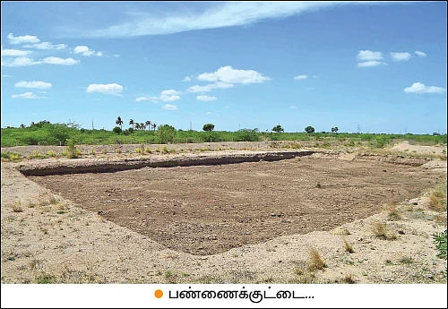 வீடு பெங்களூருவில் தோட்டம் சாத்தூரில்!