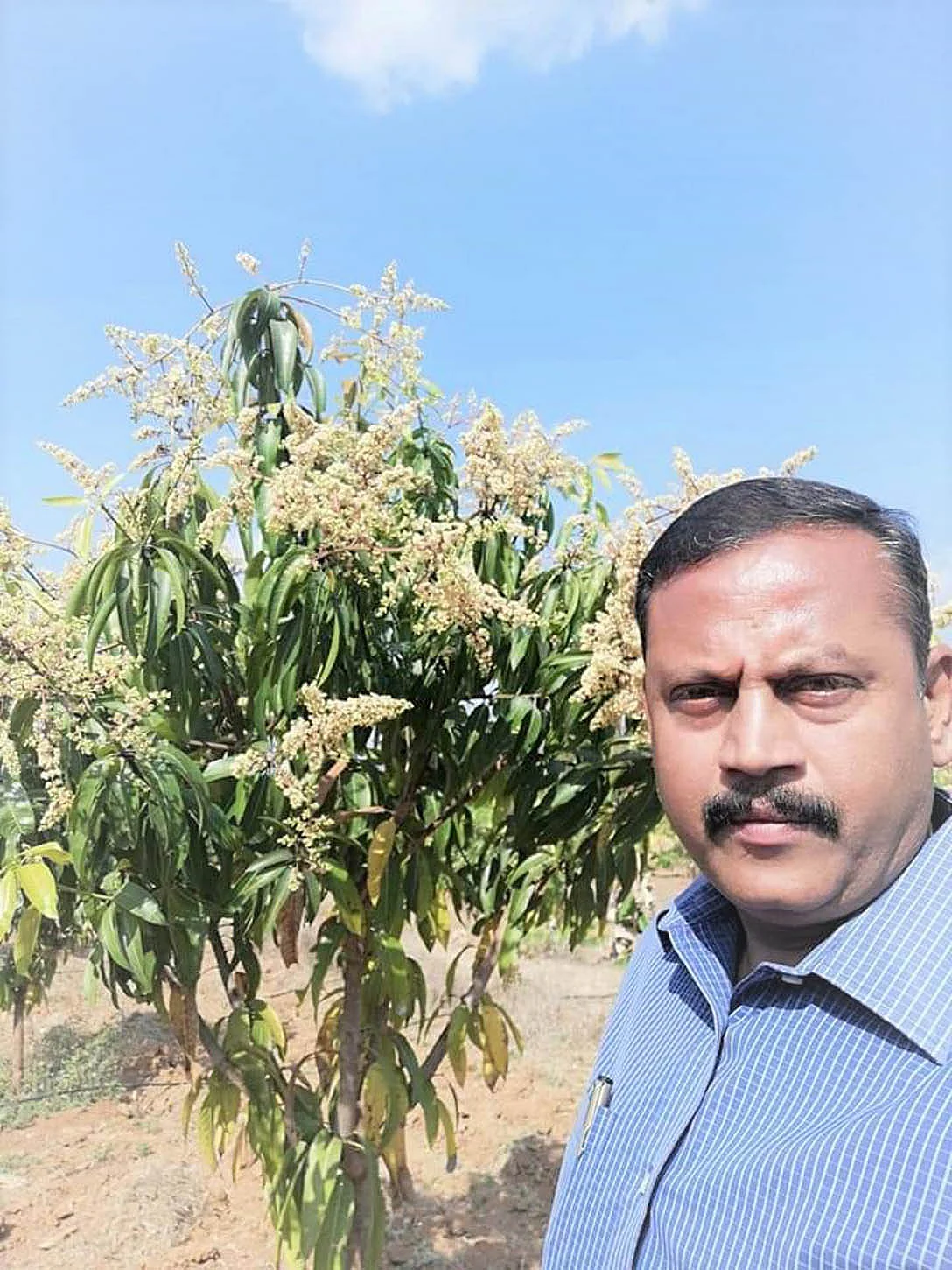 ரமேஷ்ராஜ்
