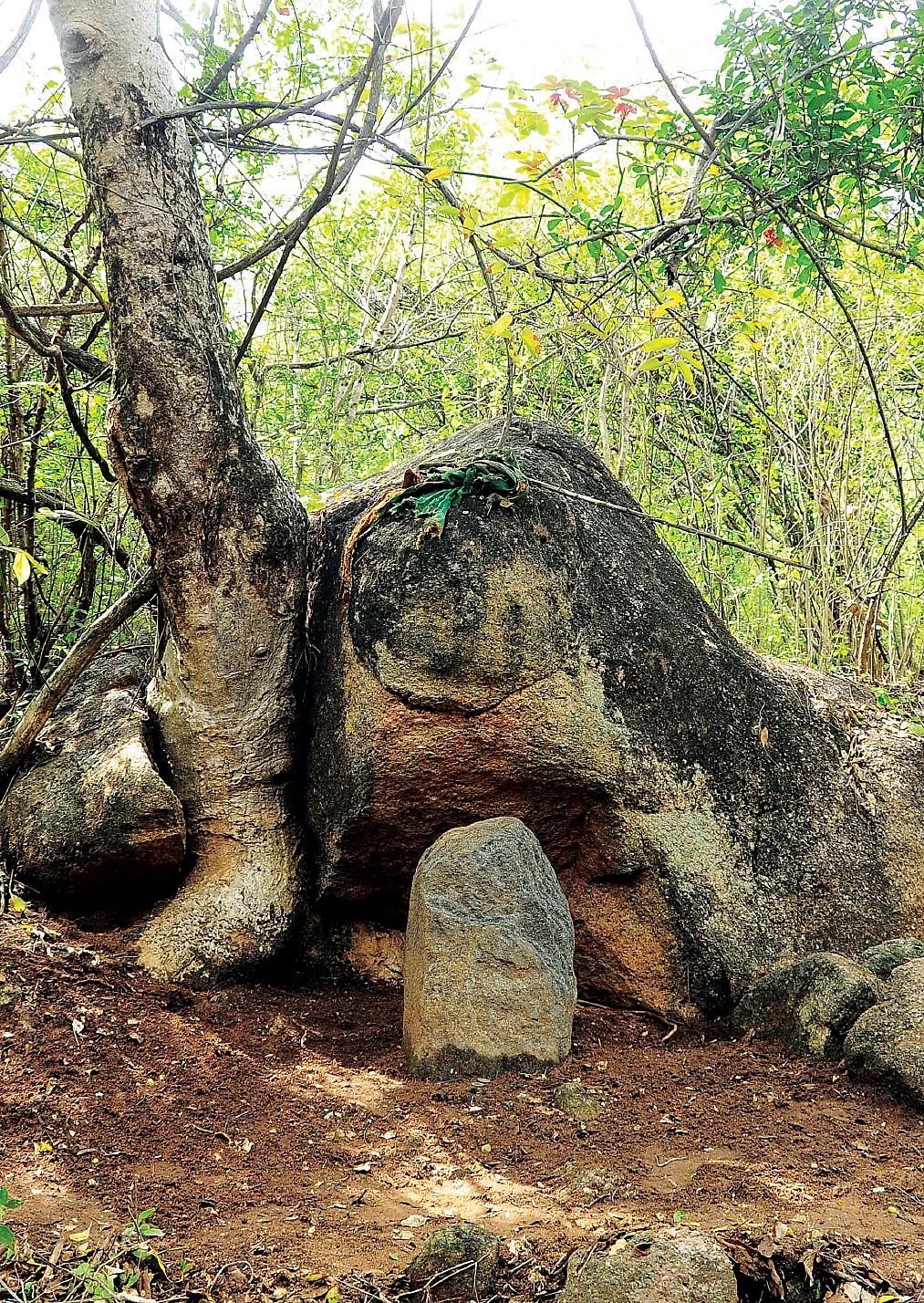 தெய்வ மனுஷிகள் - பளிச்சி
