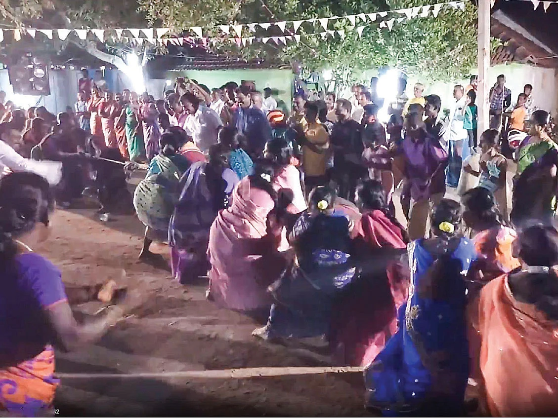 காம்போ கலெக்டிங்: திருவிழா விளையாட்டுகள்