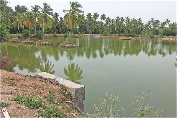 3 ஏக்கர் பரப்பில் பண்ணைக்குட்டை… ஊருக்கு உதவும் ஆராய்ச்சி மையம்!