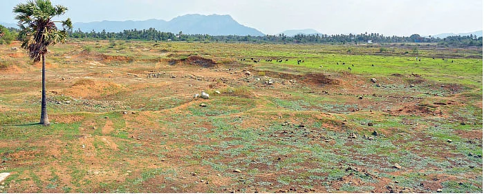 தமிழகத்தின் ஈரம்: விழுப்புரம், வேலூர், திருவாரூர்