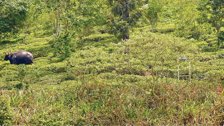 குன்னூர்