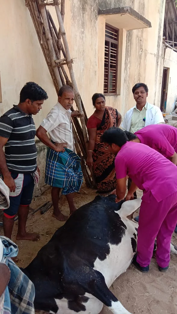 கால்நடை மருத்துவக் குழு