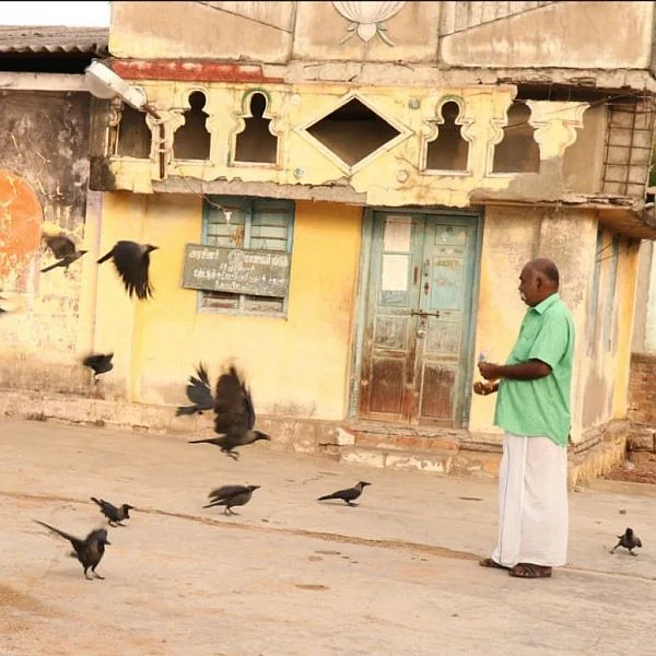`இவர்தான் நிஜ ஹீரோ' - பறவைகளுக்கும் உணவளித்து உயர்ந்து நிற்கும் உக்கிரபாண்டியன்!