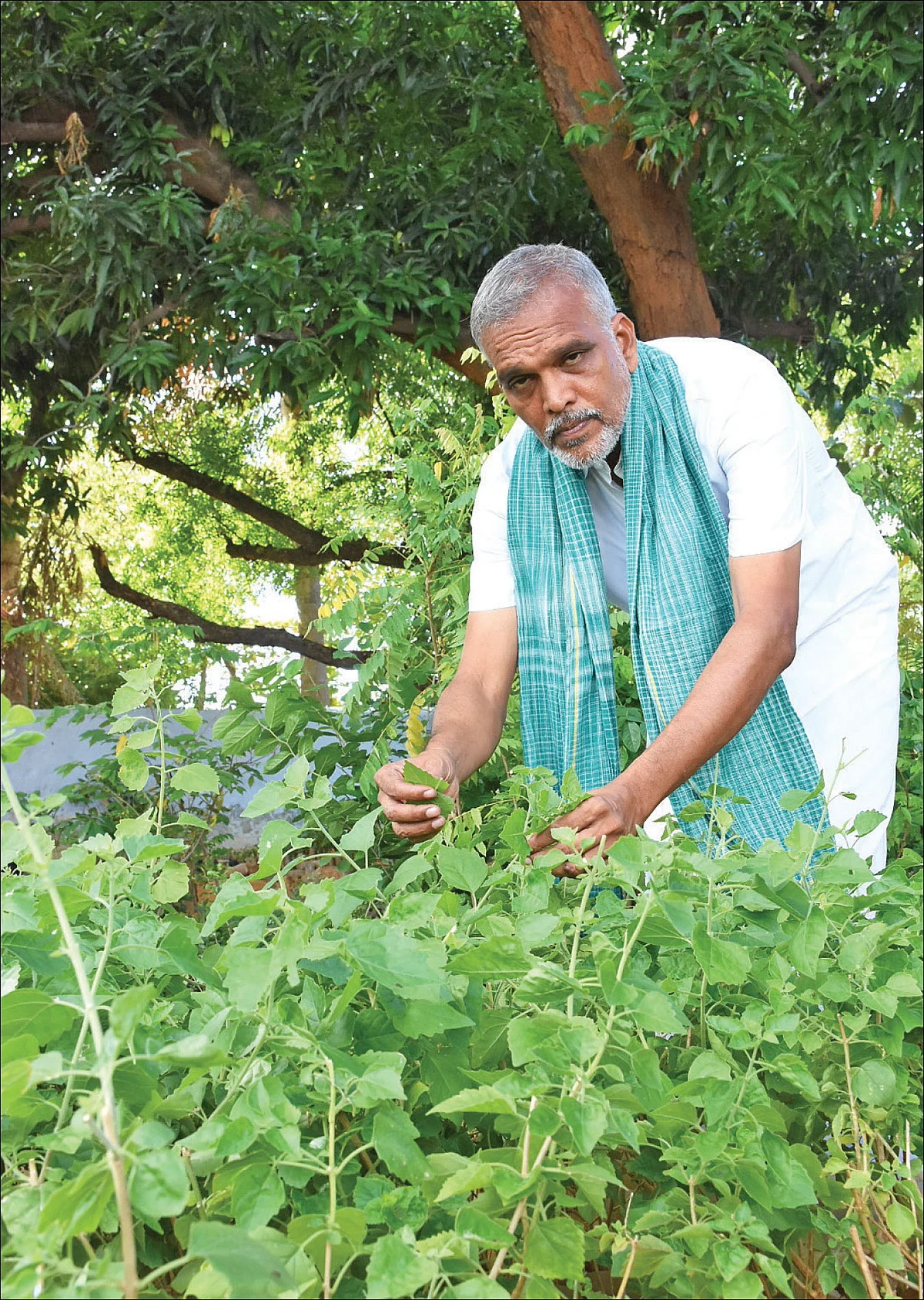 புதிய தொடர் - நல்மருந்து 2.0