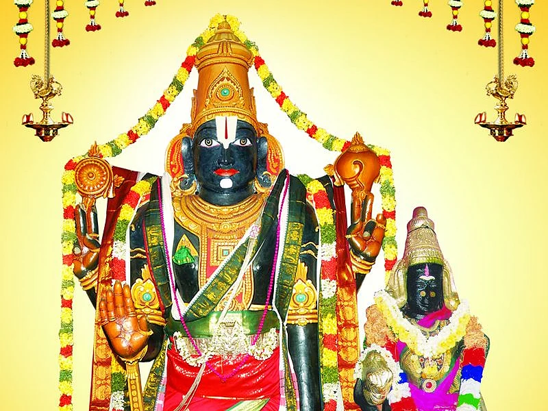 சனிதோஷம் நீக்கும் வானமுட்டிப் பெருமாள்... கும்பகோணம் அருகே ஓர் அத்திவரதர் !