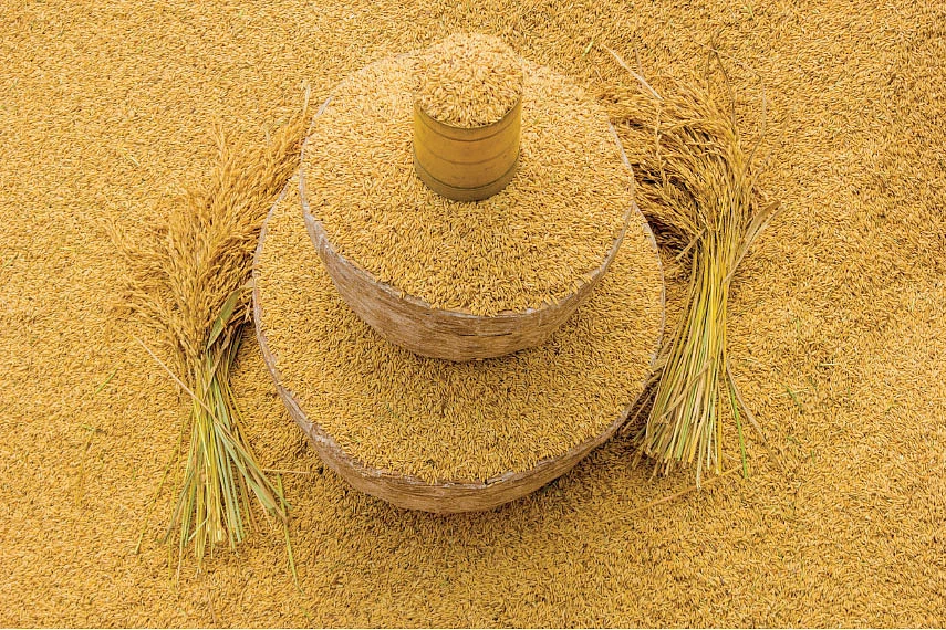 தமிழகம் இன்ஃபோ ஸ்பெஷல் #11 - தஞ்சாவூர் 200 - இன்ஃபோ புக்