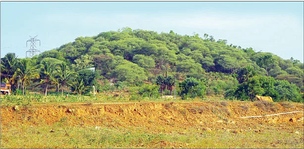 ஆக்கிரமிப்பு புகாருக்குள்ளான வனப்பகுதி