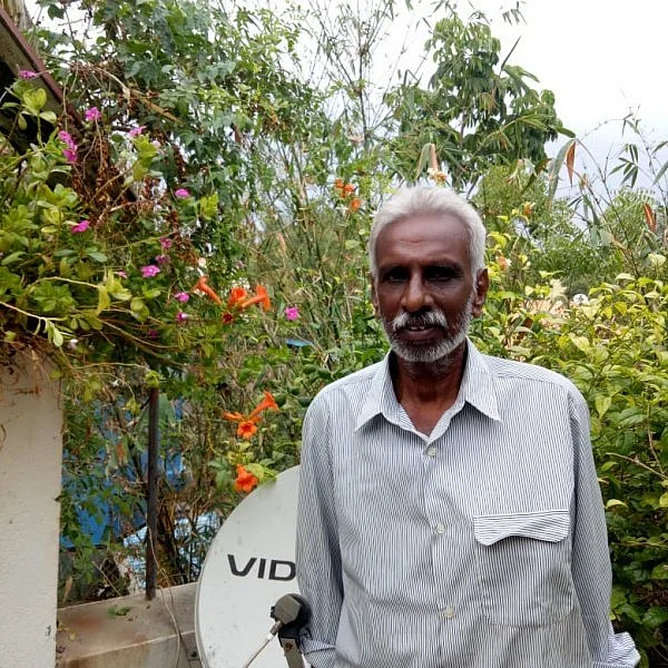 காய்கறி கழிவு, மீன் முள், முட்டை ஓடு... கிச்சன் கழிவுகளை இப்படி உரமாக்குங்கள்!