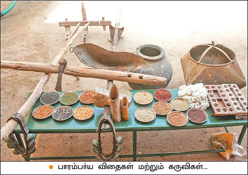 “விதைகள்தான் எங்கள் குலசாமி...” பாரம்பர்யம் காக்கும் கிராமம்!