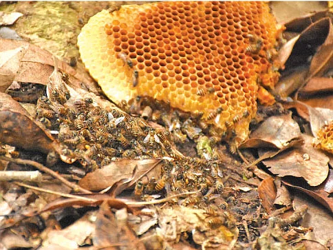 ஏமாற்றும் தொண்டு நிறுவனங்கள்...