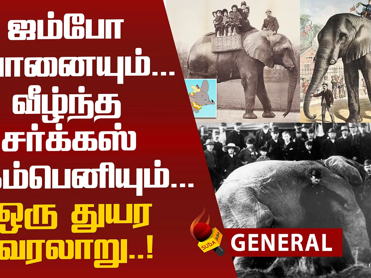 சர்க்கஸ் உலகின் ராஜா... `ஜம்போ' யானையின் கண்ணீர் கதை..! | An Emotional Story Of Elephant 'Jumbo'