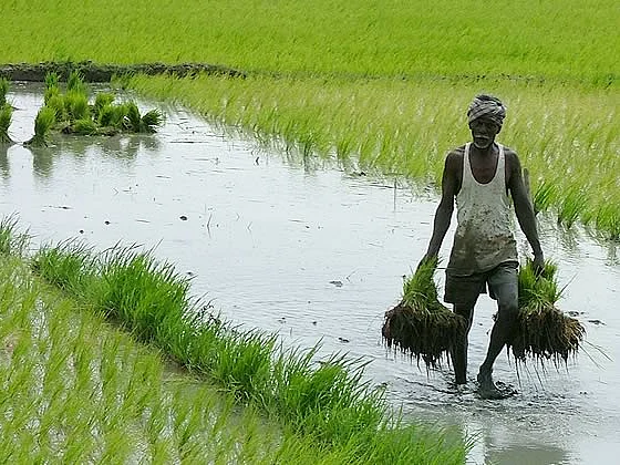 தமிழ் சினிமாவில் பெருகும் விவசாயப் படங்கள், உண்மையில் விவசாயத்தைப் பேசுகிறதா?!