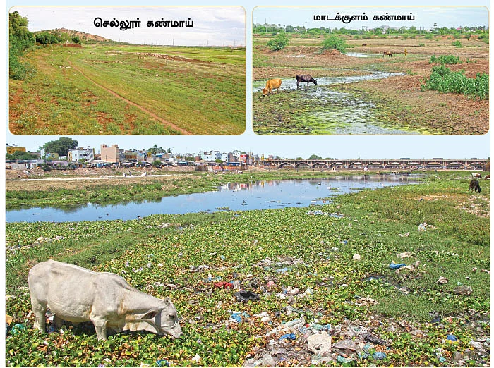 தமிழகத்தின் ஈரம்: மதுரை, நாகப்பட்டினம், கோயம்புத்தூர்