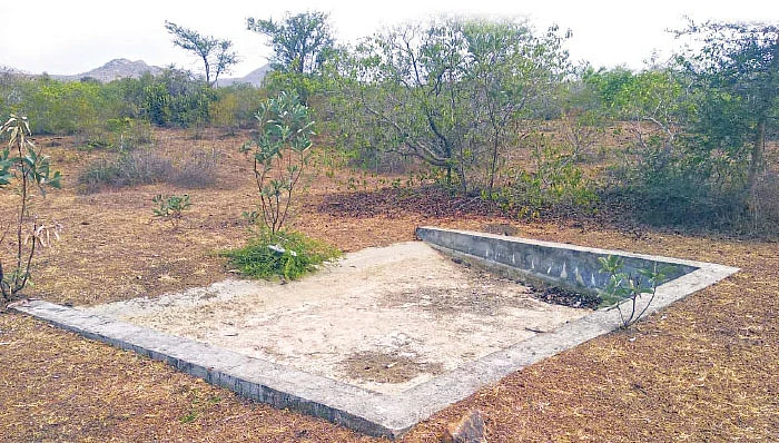 தண்ணீரின்றி தவிக்கும் மான்கள்... நடவடிக்கை எடுக்குமா வனத்துறை?