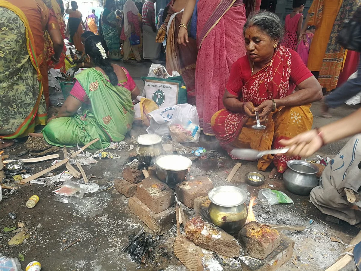 பொங்கல்