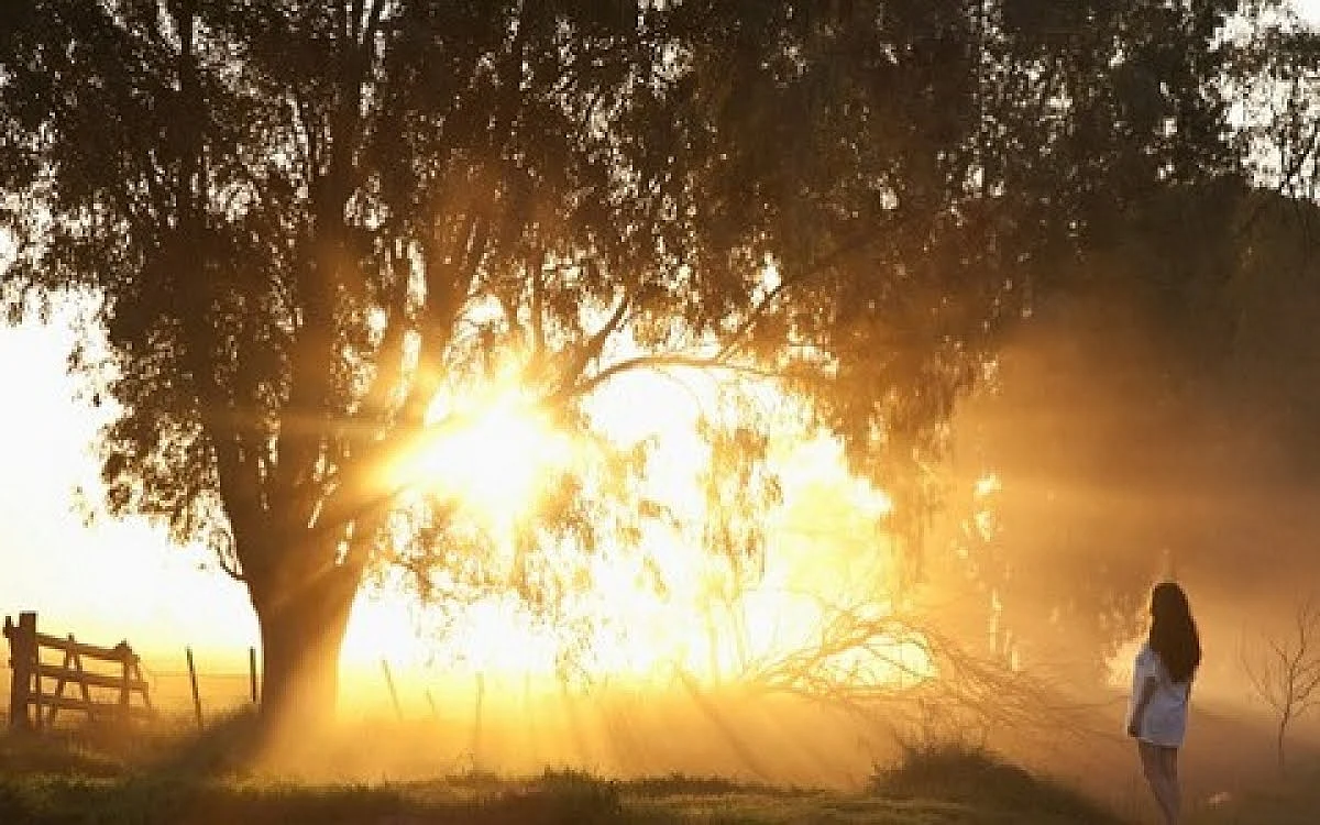 Vitamin D