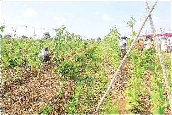 பயணம் கற்றுக்கொடுத்த பாடம்… உவர் மண்ணை மாற்றிய ஜீவாமிர்தம்!