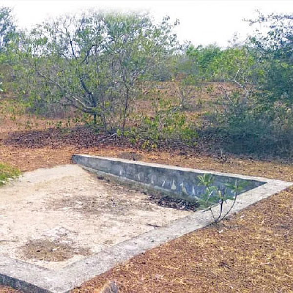 தண்ணீரின்றி தவிக்கும் மான்கள்... நடவடிக்கை எடுக்குமா வனத்துறை?