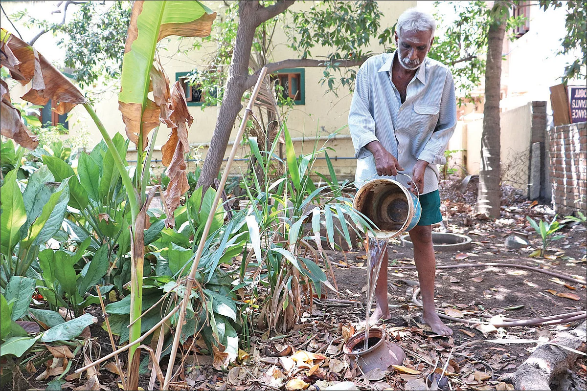 வீட்டுத்தோட்டத்தில் இந்திரகுமார்...