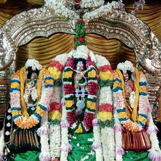 கரியமாணிக்க பெருமாள்
