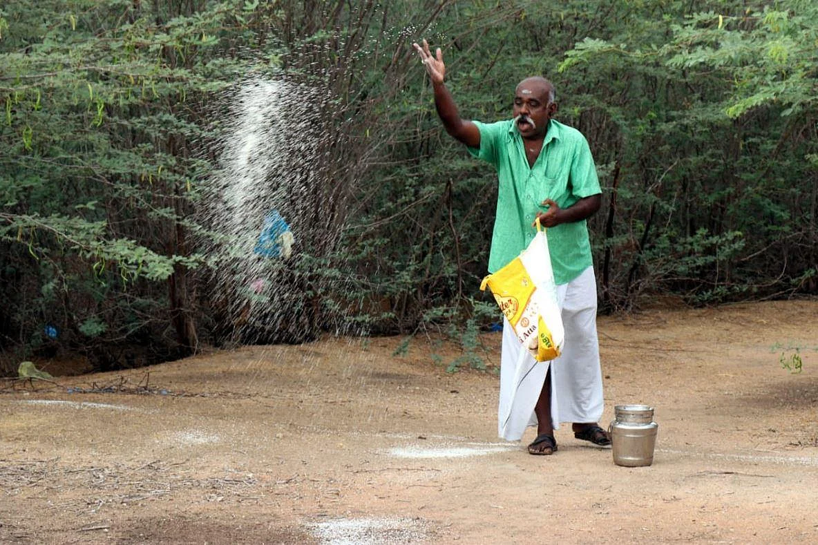 `இவர்தான் நிஜ ஹீரோ' - பறவைகளுக்கும் உணவளித்து உயர்ந்து நிற்கும் உக்கிரபாண்டியன்!