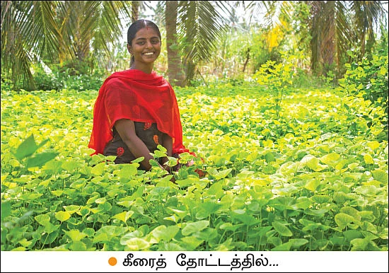 30 சென்ட்… மாதம் ரூ. 35,000 லாபம்!
