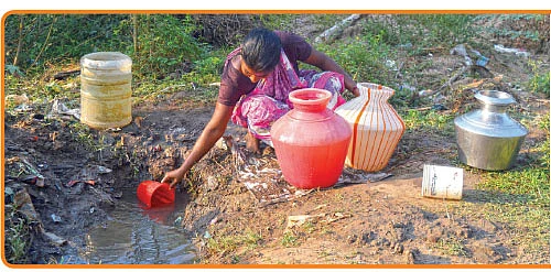 தமிழகத்தின் ஈரம்: விழுப்புரம், வேலூர், திருவாரூர்