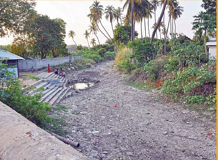தமிழகத்தின் ஈரம்: கடலூர், நாமக்கல்