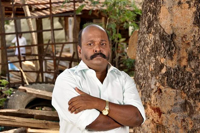 சிங்கம் புலி